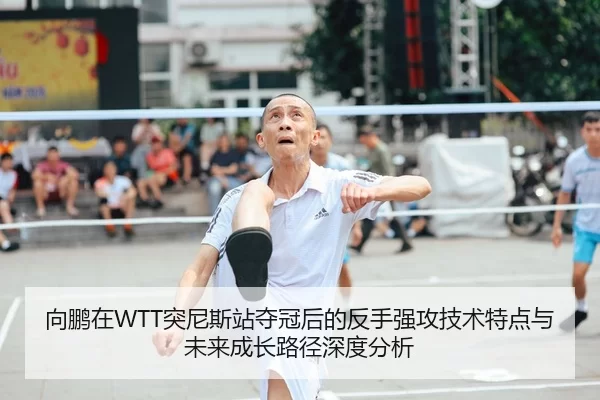 向鹏在WTT突尼斯站夺冠后的反手强攻技术特点与未来成长路径深度分析