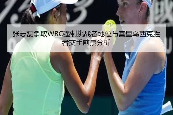 张志磊争取WBC强制挑战者地位与富里乌西克胜者交手前景分析
